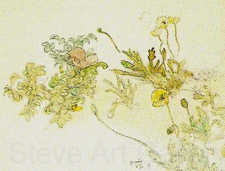 Carl Larsson blommor- nyponros och backsippor Germany oil painting art